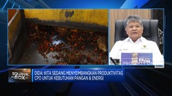 Video: Butuh 15,32 Juta Kiloliter CPO Untuk Program B40, Pasokan Aman?