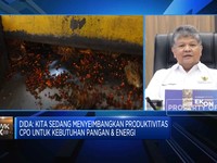 Video: Butuh 15,32 Juta Kiloliter CPO Untuk Program B40, Pasokan Aman?