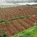 Badai Matahari Dahsyat Serang Bumi, Petani Jadi Korban