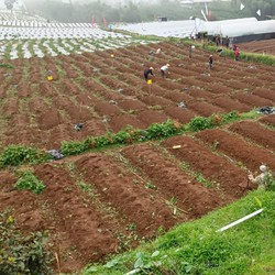 Badai Matahari Dahsyat Serang Bumi, Petani Jadi Korban