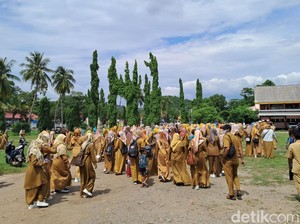 Guru Honorer SD-SMP Prioritas di Bima Ingin Diangkat PPPK 2024 Tanpa Tes