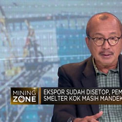 Video: Hilirisasi Bauksit Tersendat, Ini Harapan Pengusaha!