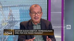 Video: Hilirisasi Bauksit Tersendat, Ini Harapan Pengusaha!
