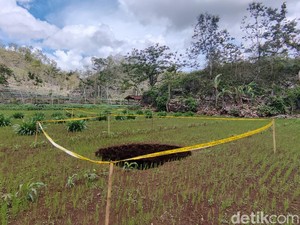 Geger Kemunculan 2 Sinkhole Berjejer di Rongkop Gunungkidul