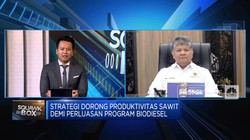 Video: Peremajaan Sawit Rakyat Belum Capai Target, Ini Biang Keroknya!