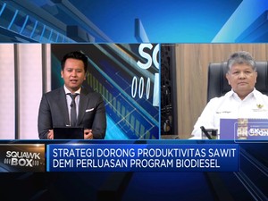 Video: Peremajaan Sawit Rakyat Belum Capai Target, Ini Biang Keroknya!