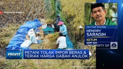 Video: Petani Heran Masalah Impor Beras & Harga Gabah Terus Berulang!