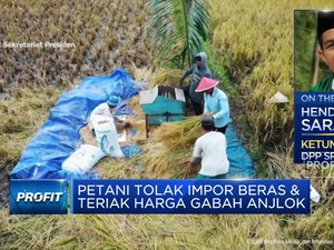 Video: Petani Heran Masalah Impor Beras & Harga Gabah Terus Berulang!