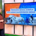 Video: Produksi Beras Ambruk, Apa Kabar Swasembada Beras RI?