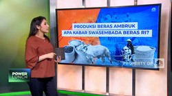 Video: Produksi Beras Ambruk, Apa Kabar Swasembada Beras RI?