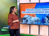 Video: Produksi Beras Ambruk, Apa Kabar Swasembada Beras RI?