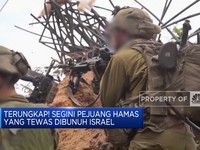 Video: Terungkap! 25 Ribu Pejuang Hamas Tewas Dibunuh Israel