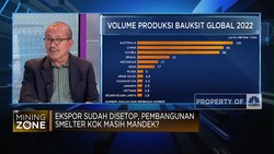 Video: Terungkap Penyebab Pembangunan Smelter Bauksit Ikut Mandek