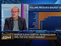 Video: Terungkap Penyebab Pembangunan Smelter Bauksit Ikut Mandek