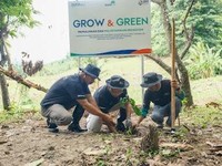 Lewat Program Ini, BRI Tanam 15 Ribu Pohon Produktif