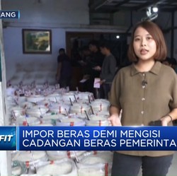 Video: Januari 2024, Pemerintah Impor 2,5 Juta Ton Beras