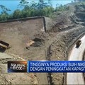 Efek Hilirisasi, Produksi Nikel RI Nyaris Tembus 200 Juta Ton