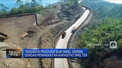 Efek Hilirisasi, Produksi Nikel RI Nyaris Tembus 200 Juta Ton