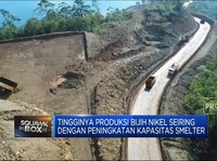 Efek Hilirisasi, Produksi Nikel RI Nyaris Tembus 200 Juta Ton