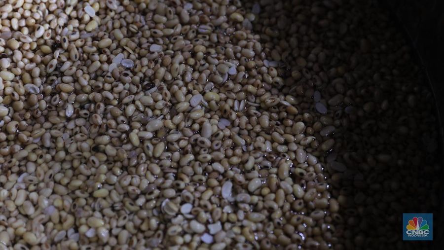 Kacang kedelai pada salah satu pabrik tahu di Jakarta, Selasa (23/1/2024). (CNBC Indonesia/Faisal Rahman)