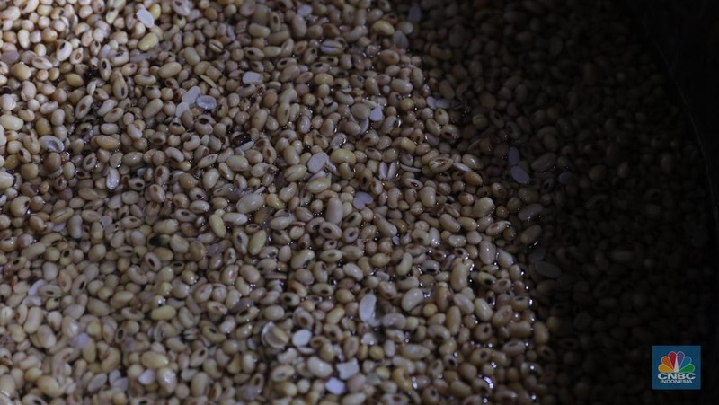 Kacang kedelai pada salah satu pabrik tahu di Jakarta, Selasa (23/1/2024). (CNBC Indonesia/Faisal Rahman)