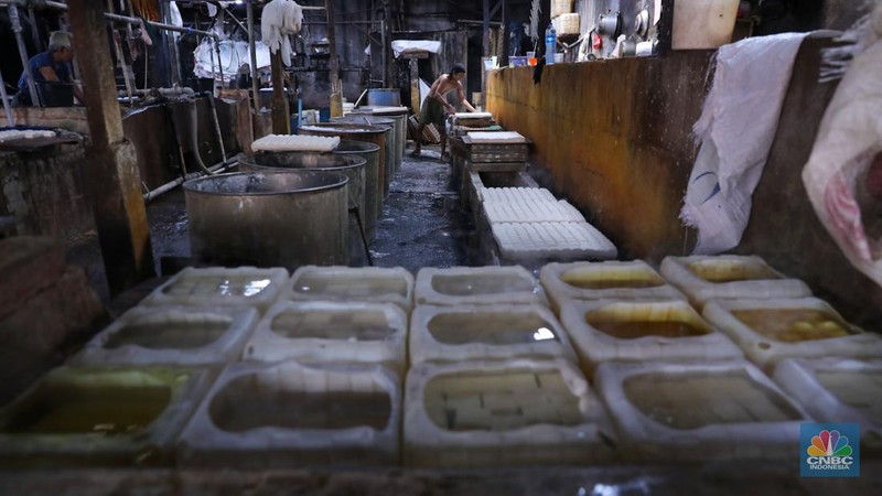 Kacang kedelai pada salah satu pabrik tahu di Jakarta, Selasa (23/1/2024). (CNBC Indonesia/Faisal Rahman)