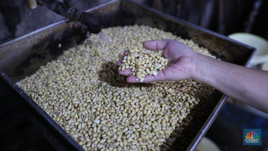 Kacang kedelai pada salah satu pabrik tahu di Jakarta, Selasa (23/1/2024). (CNBC Indonesia/Faisal Rahman)