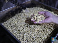 Dunia Banjir Kedelai: Harga Ditentukan AS-Brasil, RI Jadi Penonton