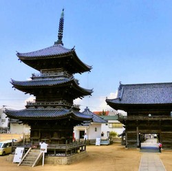 Geger WNI Ditahan di Jepang, Ada Apa?