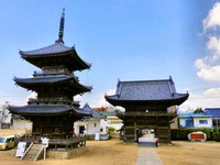 Ngeri! Bakteri Langka Mematikan Menyebar Cepat di Jepang