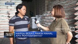 Video: Lapor Pak Jokowi! Harga Beras Masih Tinggi!