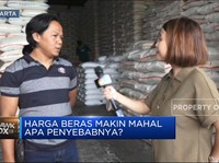 Video: Lapor Pak Jokowi! Harga Beras Masih Tinggi!