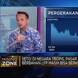 Ramai Disebut-sebut, Anak Buah Luhut Bongkar Kelemahan Baterai LFP