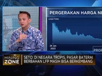 Ramai Disebut-sebut, Anak Buah Luhut Bongkar Kelemahan Baterai LFP