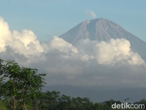 Gunung Semeru Erupsi Keluarkan Abu Setinggi 800 Meter