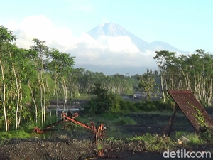 Semeru Alami 23 Letusan dalam 6 Jam Usai Erupsi