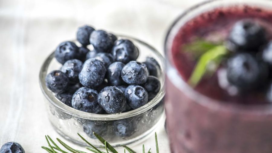 Ilustrasi buah blueberry. (Freepik)