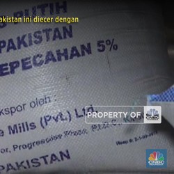 Ini Lho! Penampakan Beras Impor dari Pakistan