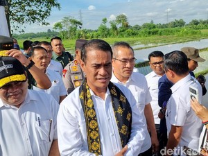 Petani Perseorangan Turun, Mentan Ungkap Penyebabnya