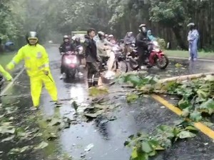 Pohon Tumbang di Arteri Ngawi-Solo, Pengguna Jalan Diimbau Masuk Tol