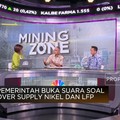 Video: RI Pilih Nikel Ketimbang LFP, Ini Alasannya!