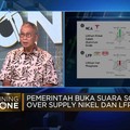 Di RI Ribut Tesla Pakai Nikel atau LFP, Jadi Gimmick Marketing!