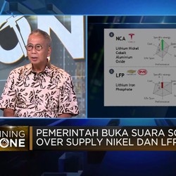 Di RI Ribut Tesla Pakai Nikel atau LFP, Jadi Gimmick Marketing!