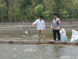 Cak Imin Bakal Bikin Menag Rangkap Tugas Urusi Ikan untuk Jemaah Haji