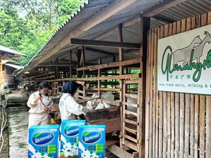 GAMAMILK, Solusi Inovatif untuk Kesehatan Persendian Lansia