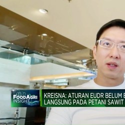 Video: Mandatori B40, Harapan Bagi Lonjakan Serapan Sawit Lokal 2024