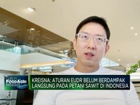 Video: Mandatori B40, Harapan Bagi Lonjakan Serapan Sawit Lokal 2024