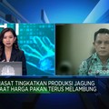 Video: Tingkatkan Produksi Jagung, Food Estate Bisa Jadi Andalan?