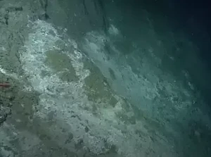 Dasar Laut Atlantik Dibor 1 Km untuk Cari Asal Usul Kehidupan