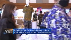 Video: Nelayan Di Indramayu Dapat Kredit Usaha Rakyat Rp 2,35 Miliar